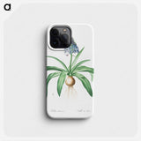 Portuguese squill illustration - Pierre Joseph Redouté Phone Case.