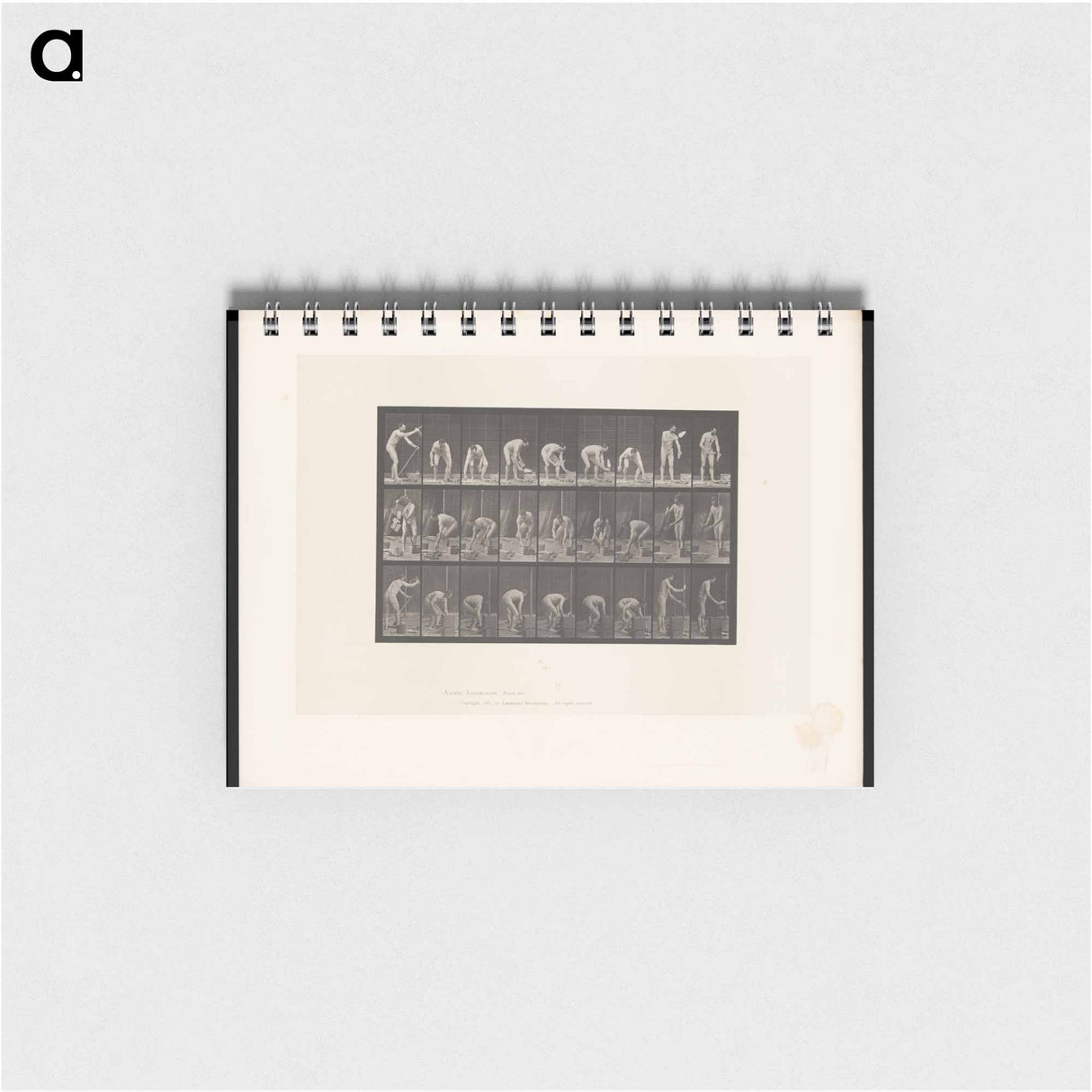 アートメモ帳-Bricklayer
 - エドワード マイブリッジ Memo.