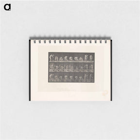 アートメモ帳-Bricklayer
 - エドワード マイブリッジ Memo.