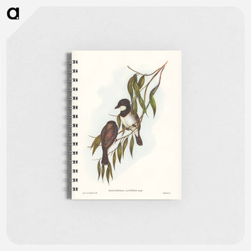 Shrike-like Phachycephala
 - ジョン グールド Memo.