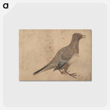 アートポストカード-Album of Sketches by Katsushika Hokusai and His Disciples - 葛飾 北斎 Postcard.