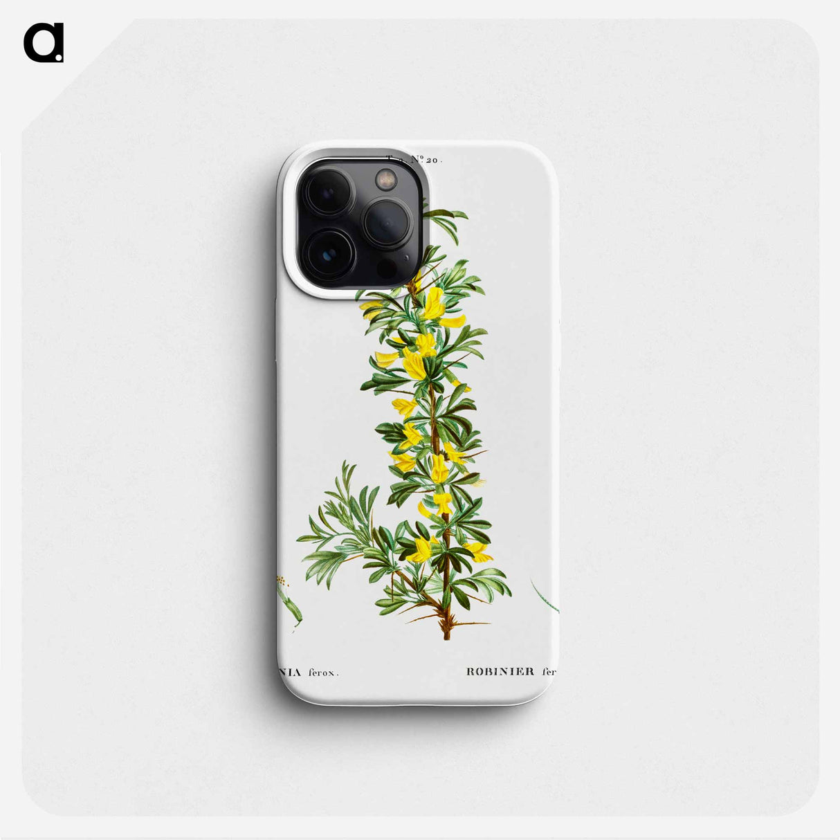 Robinia caragana - Pierre Joseph Redouté Phone Case.