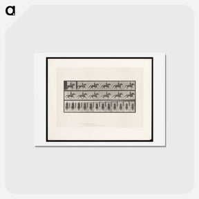 アートポストカード-Man on Horse
 - エドワード マイブリッジ Postcard.