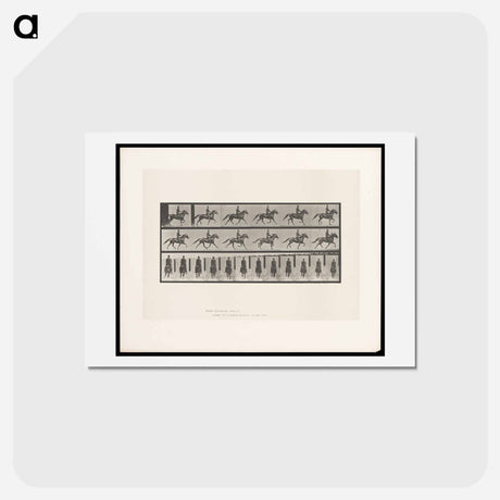 アートポストカード-Man on Horse
 - エドワード マイブリッジ Postcard.