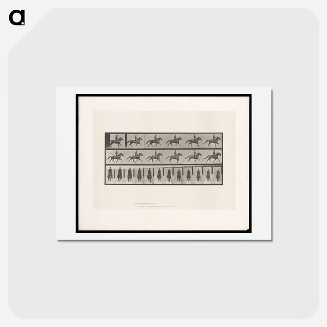アートポストカード-Man on Horse
 - エドワード マイブリッジ Postcard.