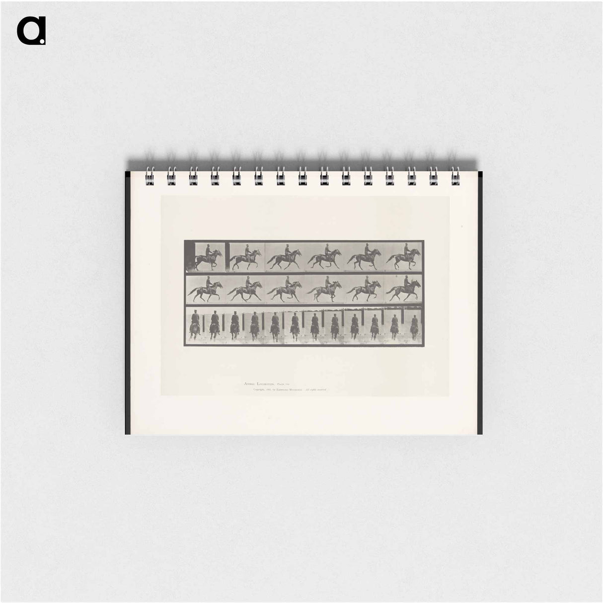 アートメモ帳-Man on Horse
 - エドワード マイブリッジ Memo.