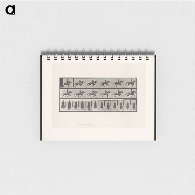 アートメモ帳-Man on Horse
 - エドワード マイブリッジ Memo.