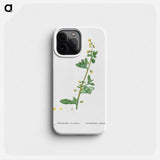 Tetragonia Decumbens (Dune Spinach) - Pierre Joseph Redouté Phone Case.