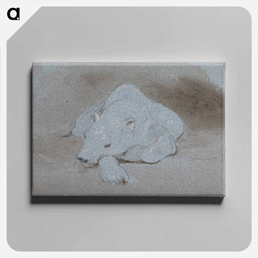 アートパネル-A Polar Bear, Asleep, Front View
 - イェール大学アートギャラリー Canvas.