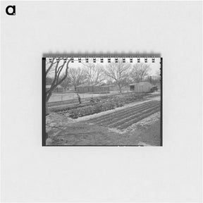 アートメモ帳-El Monte federal subsistence homesteads - ドロテア ラング Memo.