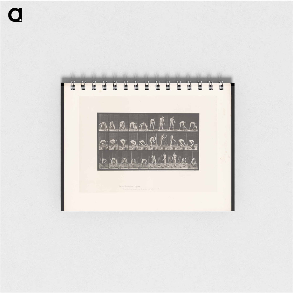 アートメモ帳-Bricklayer
 - エドワード マイブリッジ Memo.
