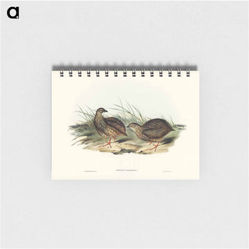 Sombre Partridge
 - ジョン グールド Memo.
