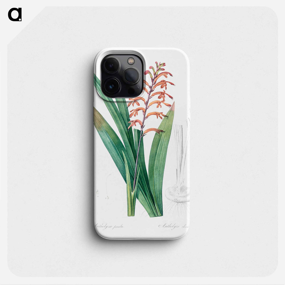 African flag illustration - Pierre Joseph Redouté Phone Case.