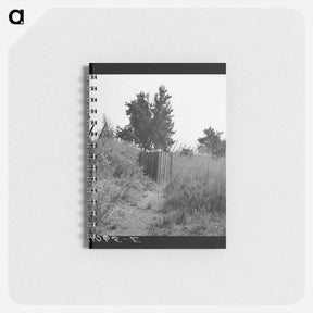 アートメモ帳-Untitled photo - ドロテア ラング Memo.