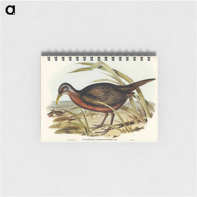 アートメモ帳-Chestnut-bellied Rail
 - ジョン グールド Memo.