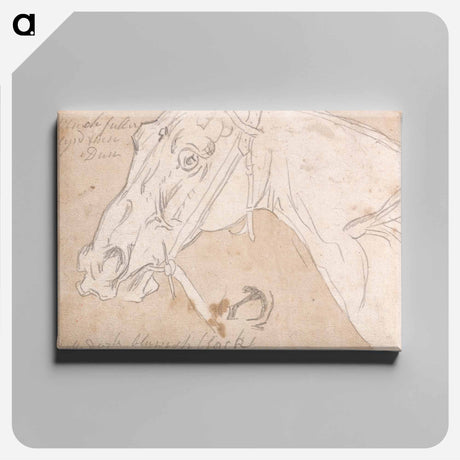 アートパネル-Head of a Horse, Facing Left
 - イェール大学アートギャラリー Canvas.