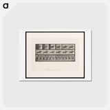 アートポストカード-Man on Horse
 - エドワード マイブリッジ Postcard.