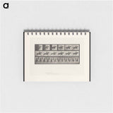 アートメモ帳-Man on Horse
 - エドワード マイブリッジ Memo.