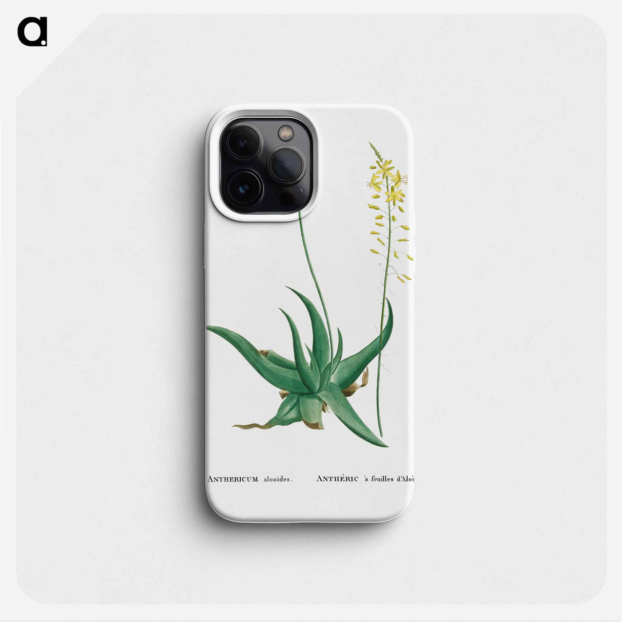 Anthericum Alooides (Bulbine Alooides) - ピエール ジョゼフ ルドゥーテ Phone Case.
