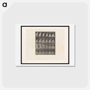 アートポストカード-Woman with Bucket
 - エドワード マイブリッジ Postcard.