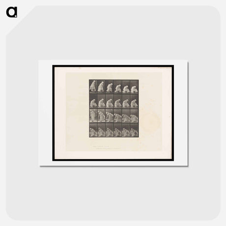 アートポストカード-Woman with Bucket
 - エドワード マイブリッジ Postcard.