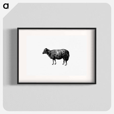 アートポスター-Sheep, In The Malakani Colony
 - 大英図書館 Poster.