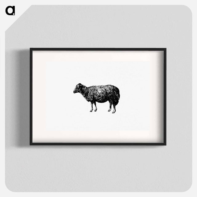アートポスター-Sheep, In The Malakani Colony
 - 大英図書館 Poster.
