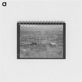 アートメモ帳-Horses pasturing among stumps and snags - ドロテア ラング Memo.