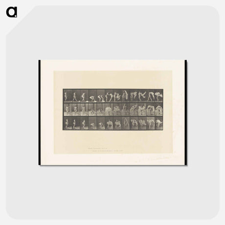 アートポストカード-Draped Figure
 - エドワード マイブリッジ Postcard.