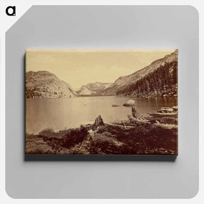 アートパネル-Lake Tenaya, Sierra Nevada Mountains
 - エドワード マイブリッジ Canvas.