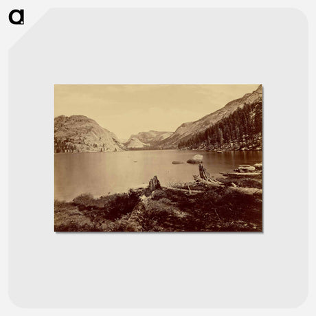 アートポストカード-Lake Tenaya, Sierra Nevada Mountains
 - エドワード マイブリッジ Postcard.