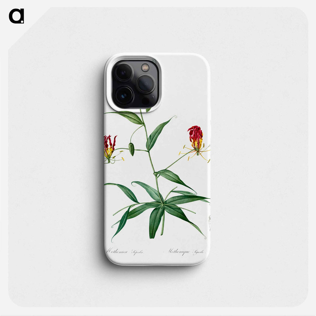 Flame lily illustration - ピエール ジョゼフ ルドゥーテ Phone Case.