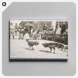 アートパネル-Two Roosters Fighting
 - セントルイス美術館 Canvas.
