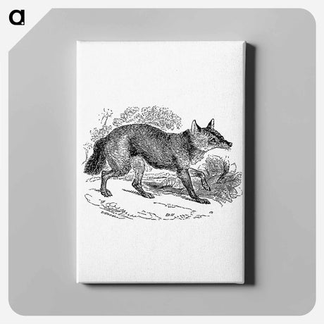 アートパネル-Jackal from The Land of the Lion; or, Adventures Among the Wild Animals of Africa
 - 大英図書館 Canvas.