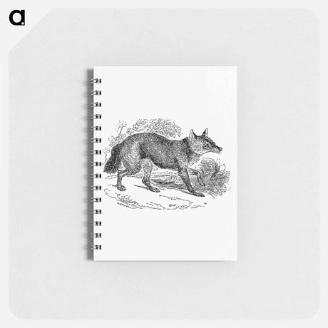 アートメモ帳-Jackal from The Land of the Lion; or, Adventures Among the Wild Animals of Africa
 - 大英図書館 Memo.