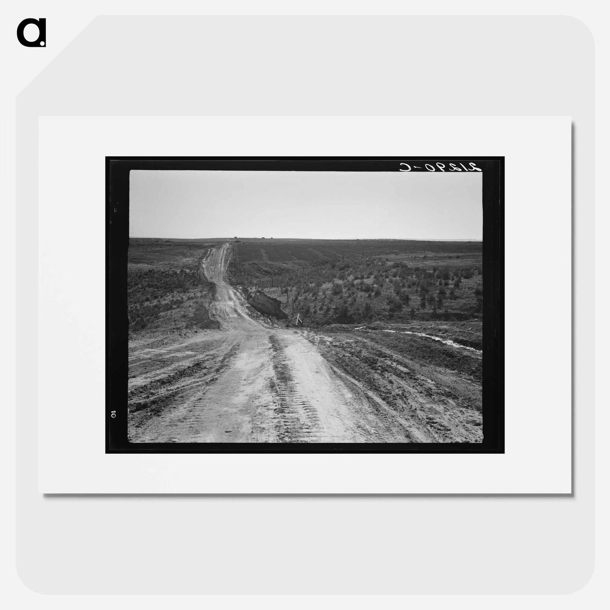 Landscape on top of bench - Dorothea Lange Poster.