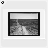 Landscape on top of bench - Dorothea Lange Poster.