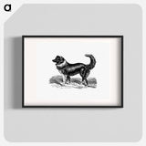 アートポスター-Dog
 - 大英図書館 Poster.