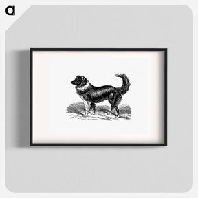 アートポスター-Dog
 - 大英図書館 Poster.