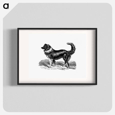 アートポスター-Dog
 - 大英図書館 Poster.
