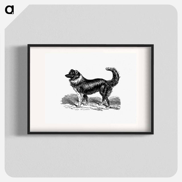 アートポスター-Dog
 - 大英図書館 Poster.