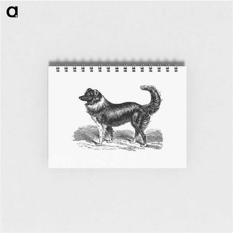 アートメモ帳-Dog
 - 大英図書館 Memo.