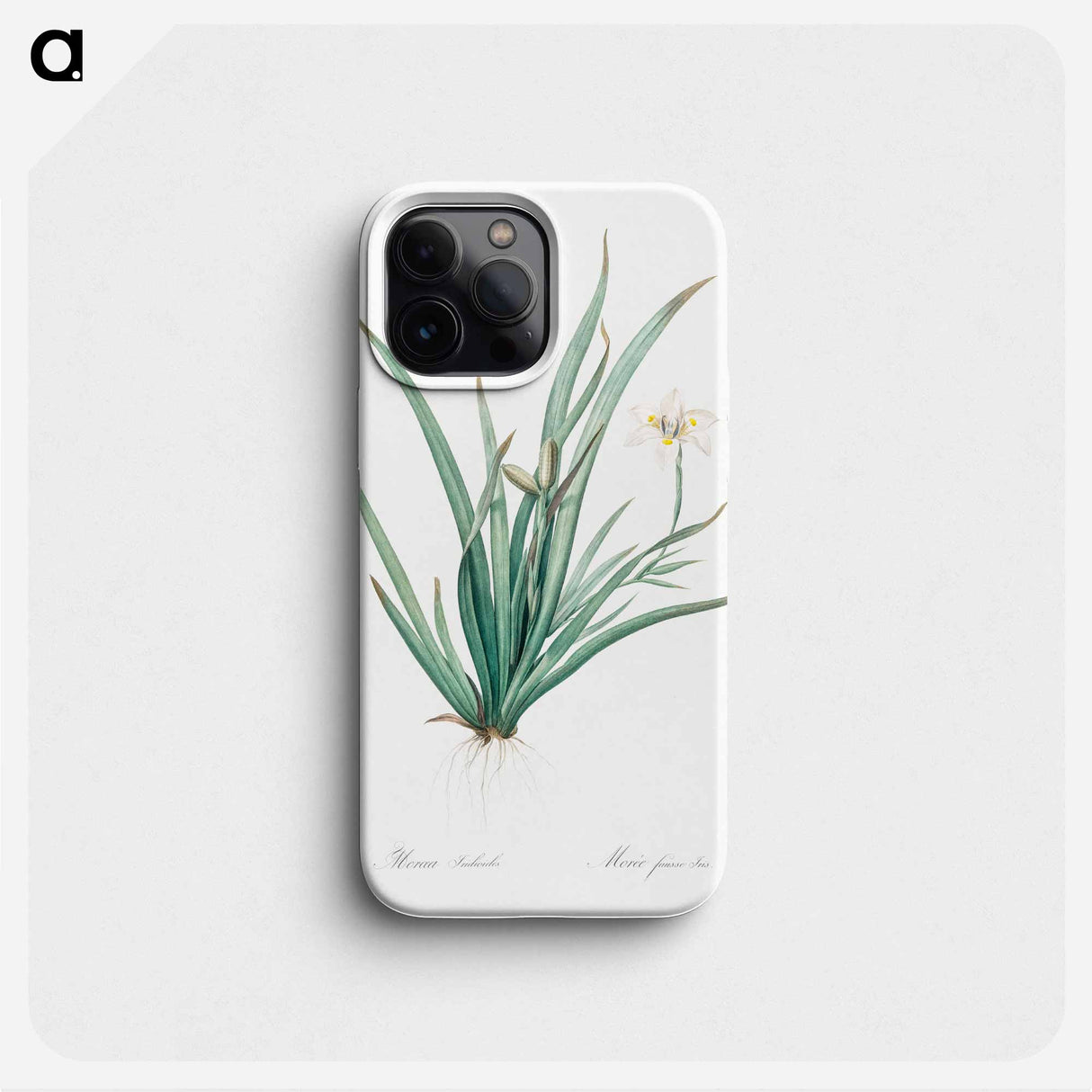 Fortnight lily illustration - Pierre Joseph Redouté Phone Case.