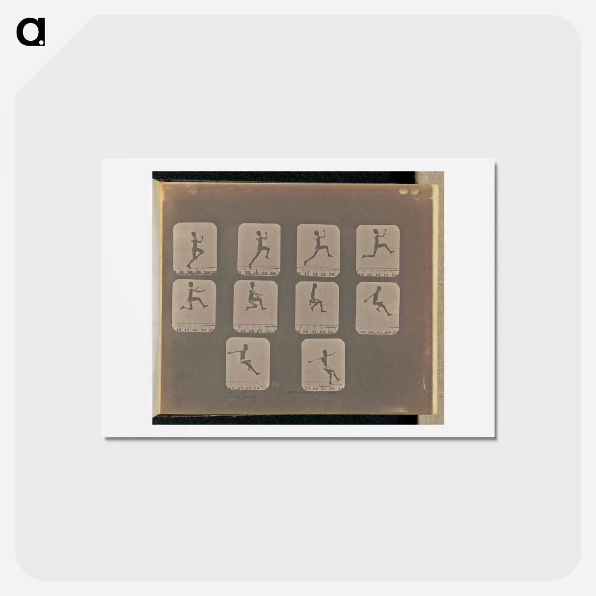 アートポストカード-Long Jump
 - エドワード マイブリッジ Postcard.