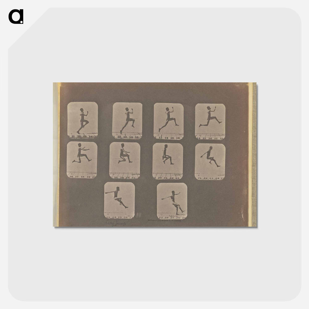 アートポストカード-Long Jump
 - エドワード マイブリッジ Postcard.