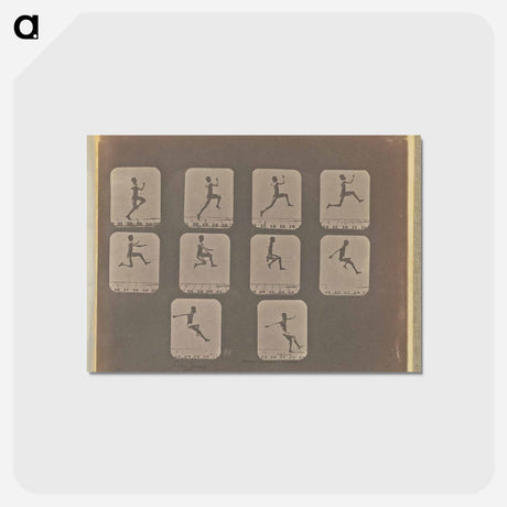 アートポストカード-Long Jump
 - エドワード マイブリッジ Postcard.