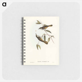 アートメモ帳-Cockerell's Honey-eater
 - ジョン グールド Memo.