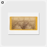 アートポストカード-Grand Masonic Ceremony
 - エドワード マイブリッジ Postcard.