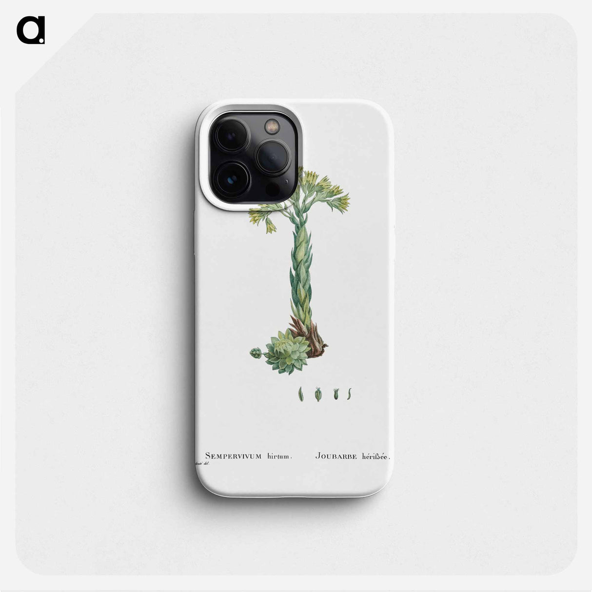 Sempervivum Hirtum (Rolling Hen and Chicks) - Pierre Joseph Redouté Phone Case.