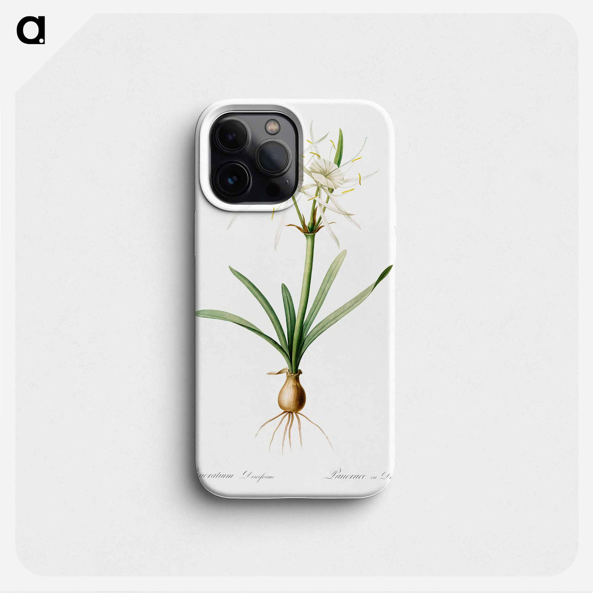 Streambank spiderlily - Pierre Joseph Redouté Phone Case.